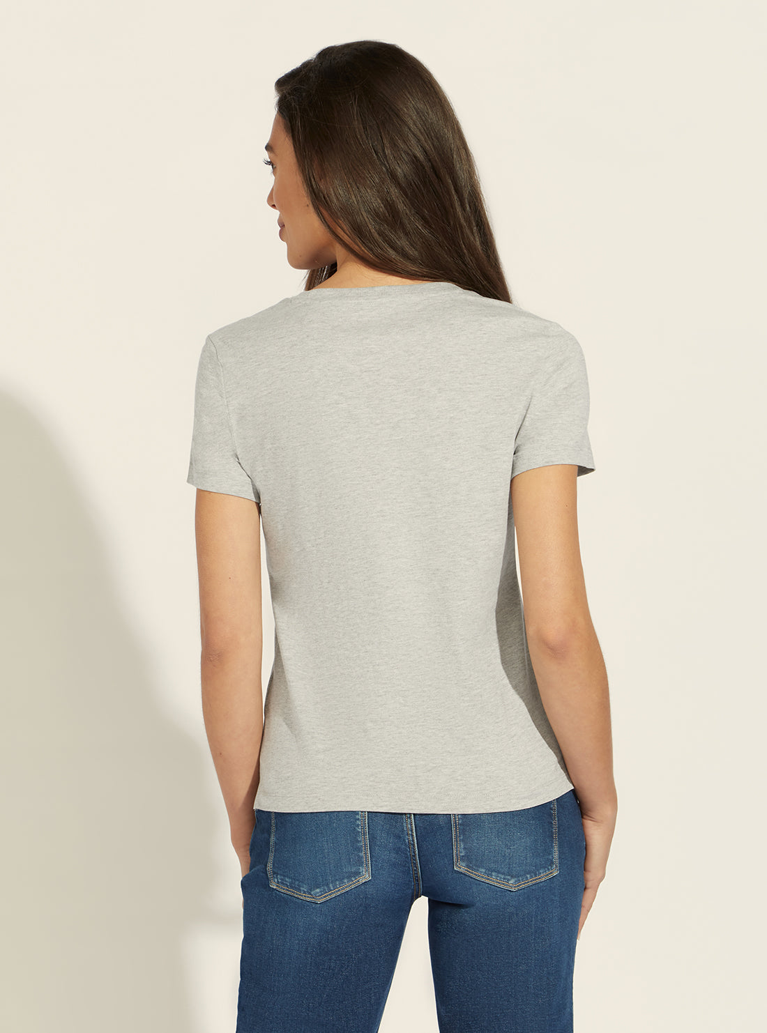 Eco Grey Icon Logo T-Shirt